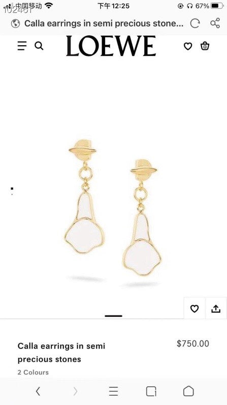 China Replica Loewe Earrings 42usd Only