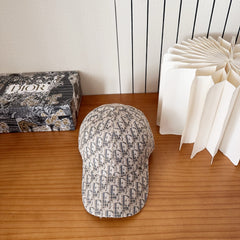 China Replica Dior Hats 22usd Only