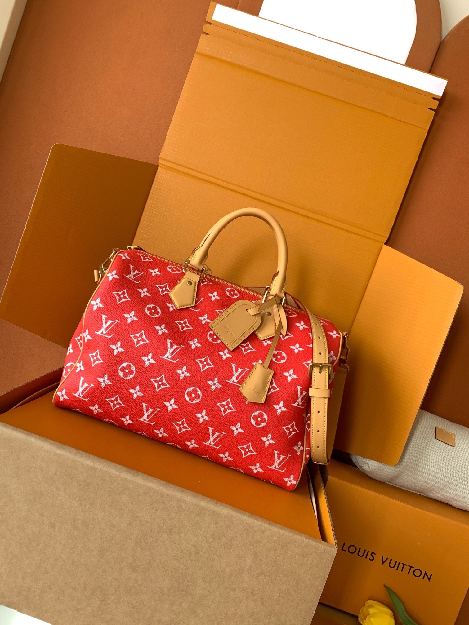 China Replica LV Handbags 345usd Only