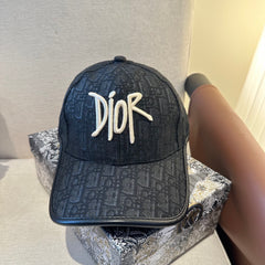 China Replica Dior Hats 22usd Only