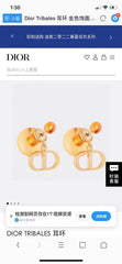 China Replica Dior Earrings 22usd Only